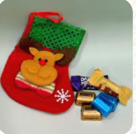 Enchanted Set (Option A)🎄 - Red Leather Bag